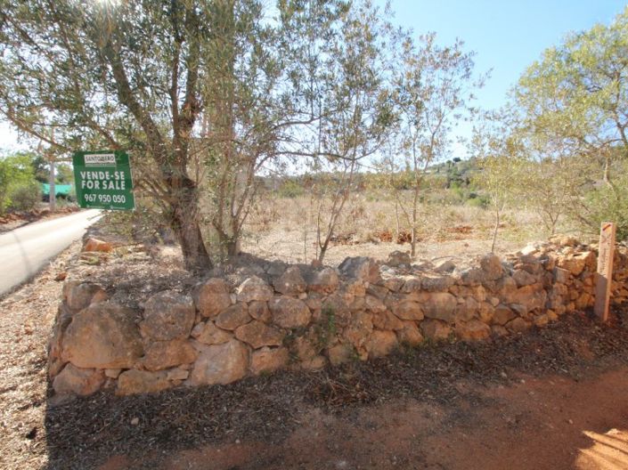 Image No.2-Plot for sale