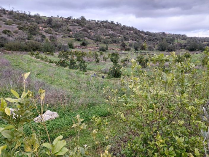 Image No.3-Plot for sale