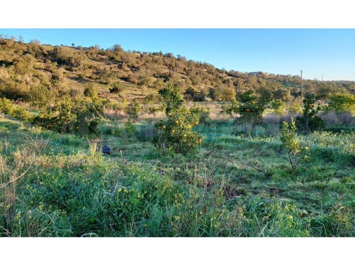 Image No.4-Plot for sale