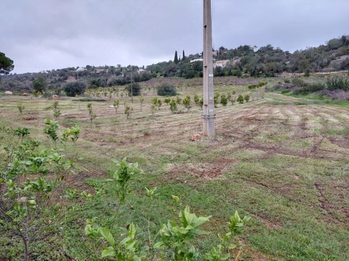 Image No.5-Plot for sale