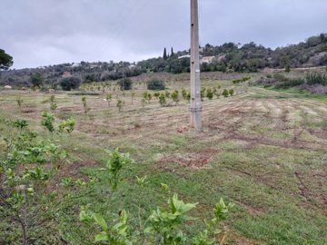 id23a36701-0000-0500-0000-000010fb04ab