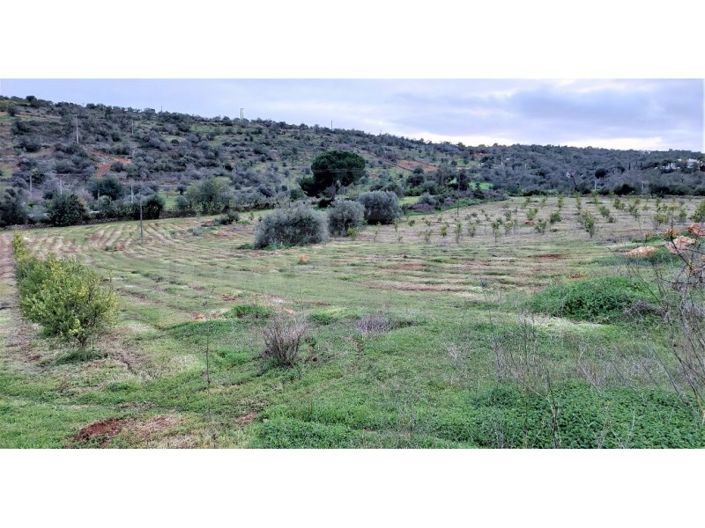 Image No.6-Plot for sale