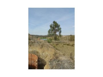 id86636a01-0000-0500-0000-0000113a8a95