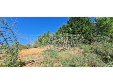 idce1e6c01-0000-0500-0000-0000115ff8a5