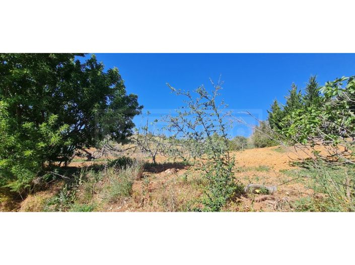 Image No.11-Plot for sale