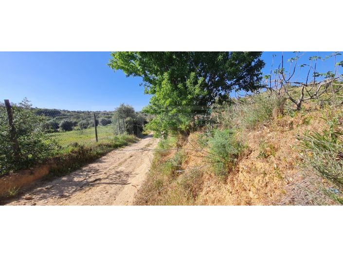 Image No.12-Plot for sale