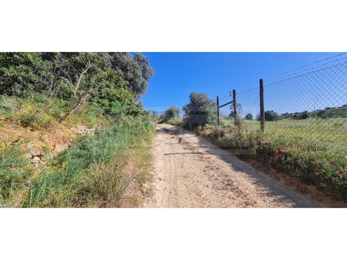 Image No.13-Plot for sale