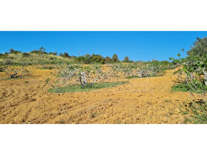 Image No.2-Terrain à vendre à Silves