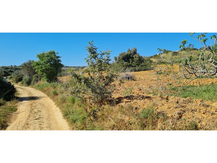 Image No.3-Plot for sale