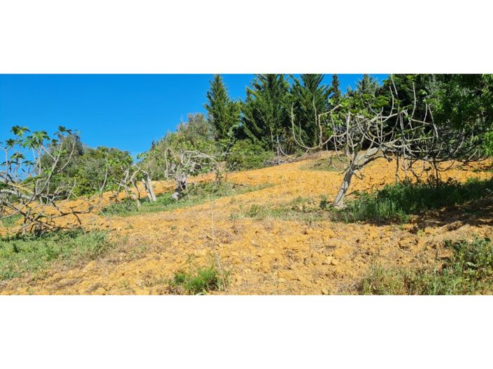 Image No.4-Plot for sale