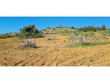 idce1e6c01-0000-0500-0000-0000115ff89c