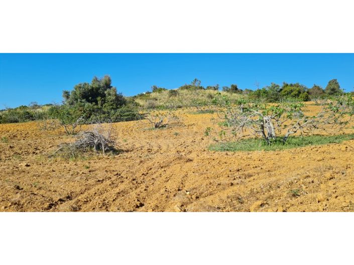 Image No.5-Terrain à vendre à Silves
