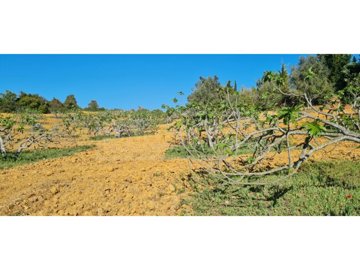 idce1e6c01-0000-0500-0000-0000115ff89f