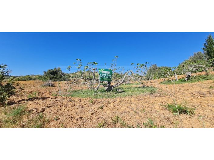 Image No.7-Plot for sale