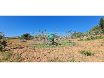 idce1e6c01-0000-0500-0000-0000115ff8a0