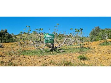 idce1e6c01-0000-0500-0000-0000115ff8a2