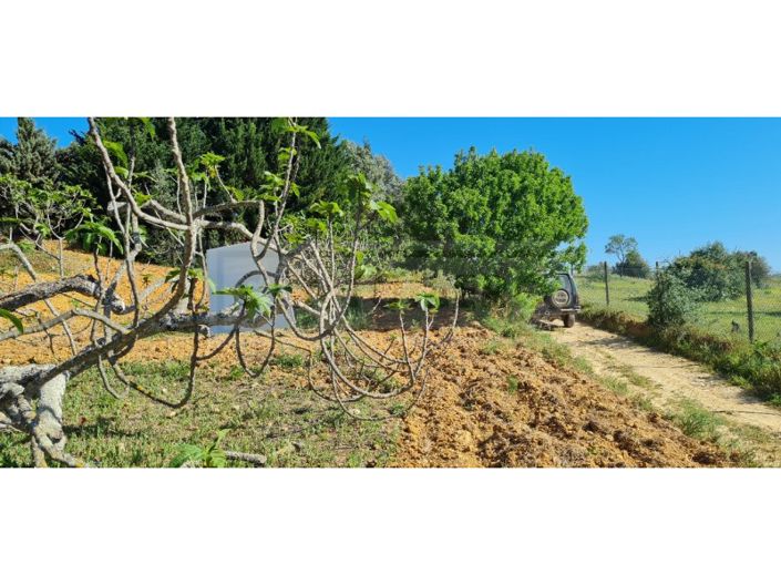 Image No.9-Plot for sale