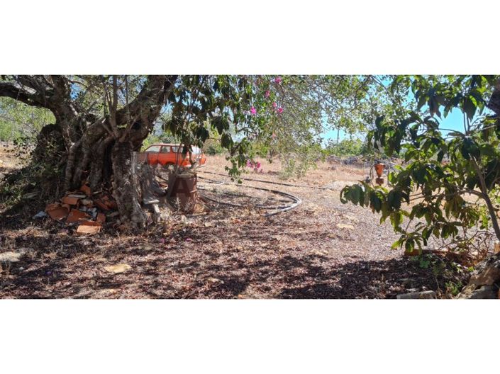 Image No.11-House for sale