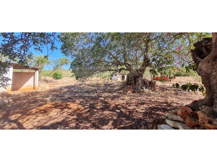 Image No.18-House for sale