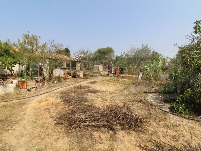 Image No.4-Terrain à vendre à Silves