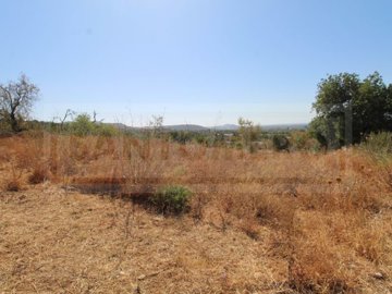 id37cd7f01-0000-0500-0000-0000137757fb