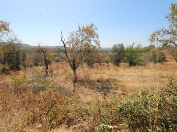 id37cd7f01-0000-0500-0000-0000137757f3