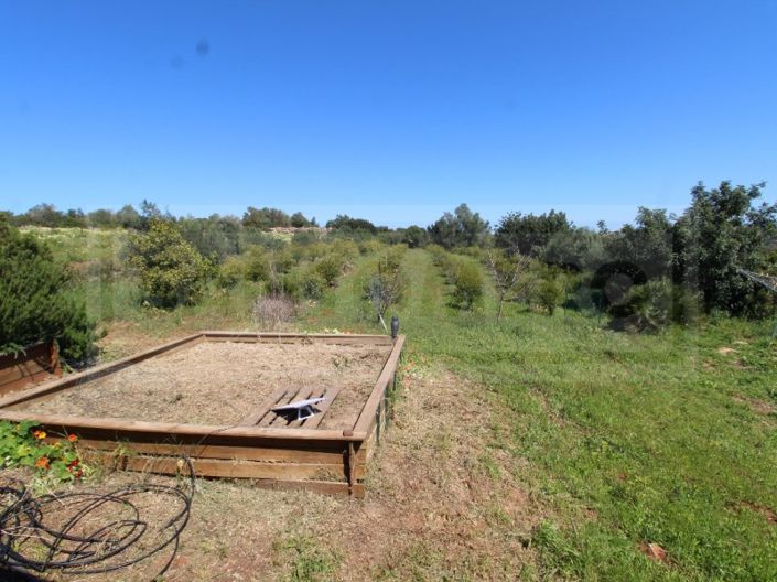 Image No.16-Maison à vendre à Silves