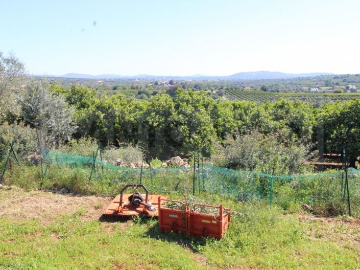 Image No.17-Maison à vendre à Silves