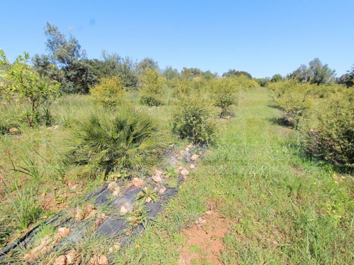 Image No.20-Maison à vendre à Silves