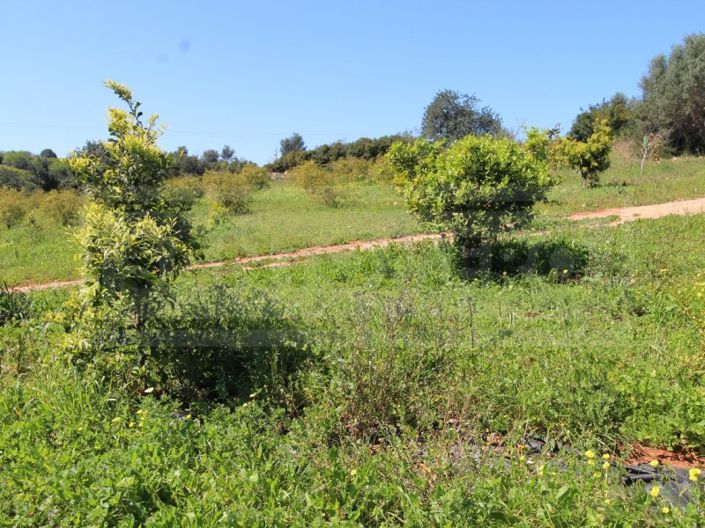 Image No.27-Maison à vendre à Silves