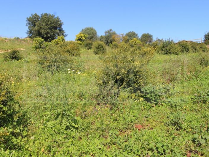 Image No.28-Maison à vendre à Silves