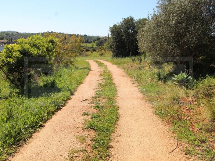 Image No.30-House for sale