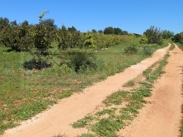 Image No.31-Maison à vendre à Silves