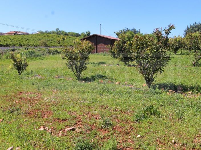 Image No.33-House for sale