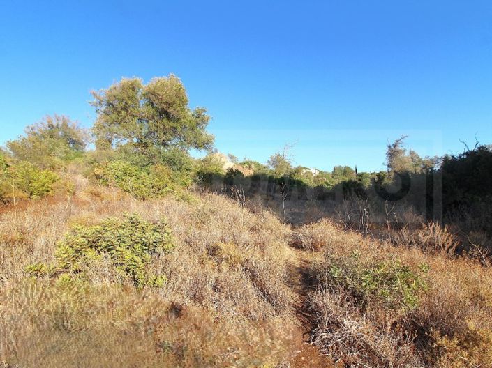 Image No.2-Farmhouse for sale