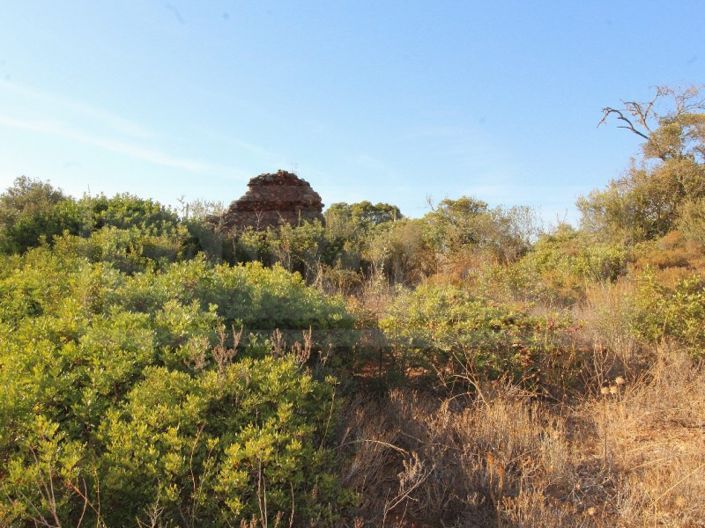 Image No.3-Farmhouse for sale