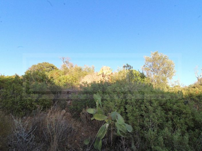 Image No.4-Farmhouse for sale