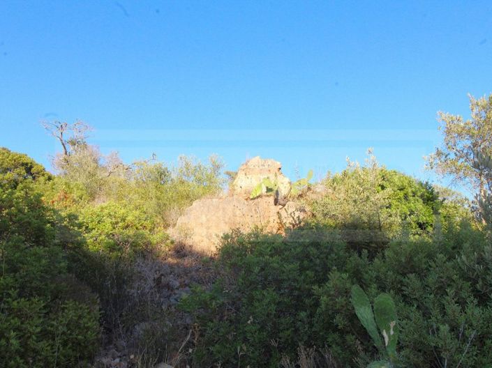 Image No.5-Farmhouse for sale