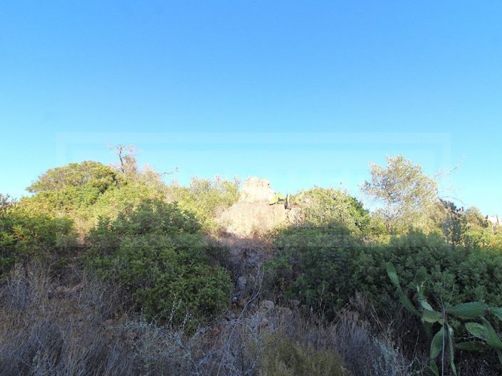 Image No.8-Farmhouse for sale