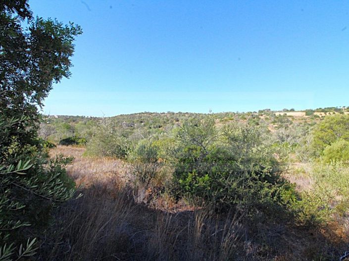 Image No.4-Terrain à vendre à Albufeira