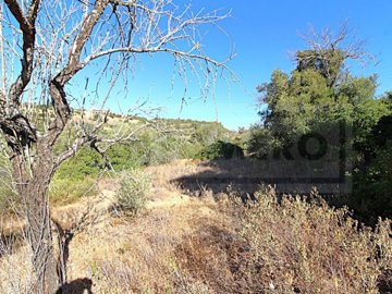 ide0cdb601-0000-0500-0000-000017b53033