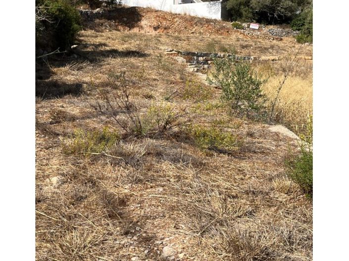 Image No.4-Terrain à vendre à Loule