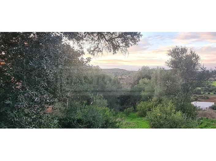 Image No.2-Plot for sale