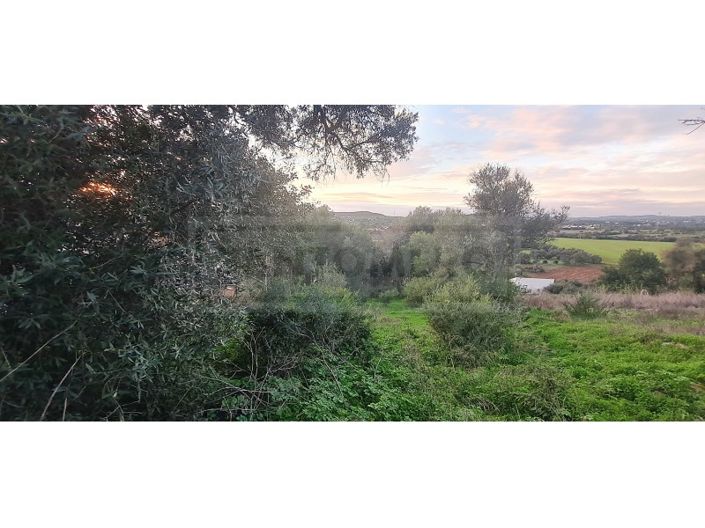 Image No.3-Plot for sale