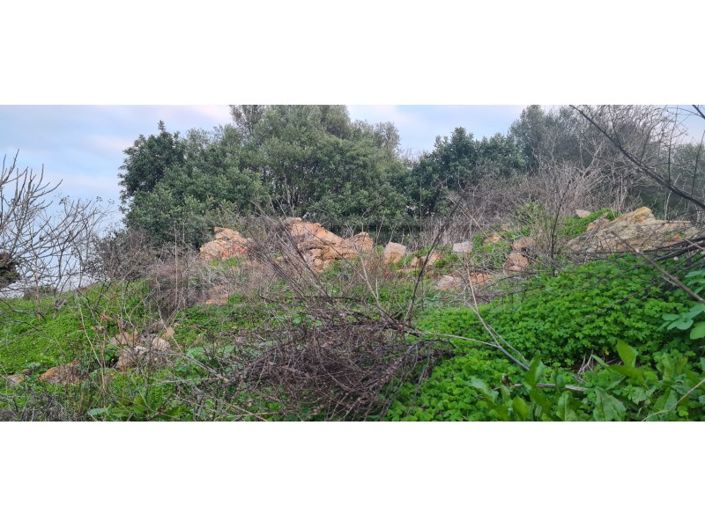 Image No.4-Terrain à vendre à Albufeira