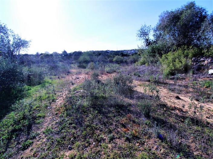 Image No.10-Plot for sale