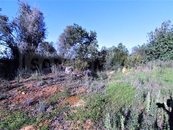 Image No.11-Plot for sale