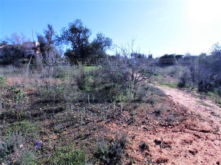 Image No.12-Plot for sale