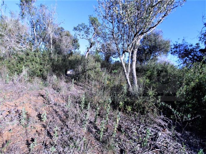 Image No.13-Plot for sale