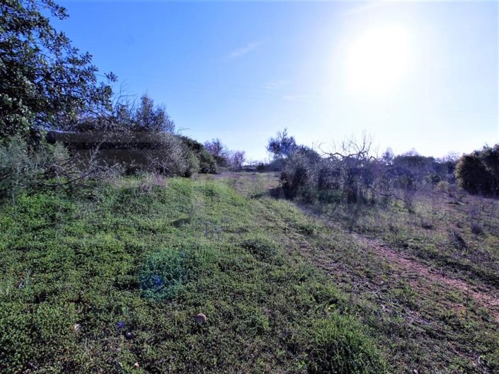 Image No.14-Plot for sale